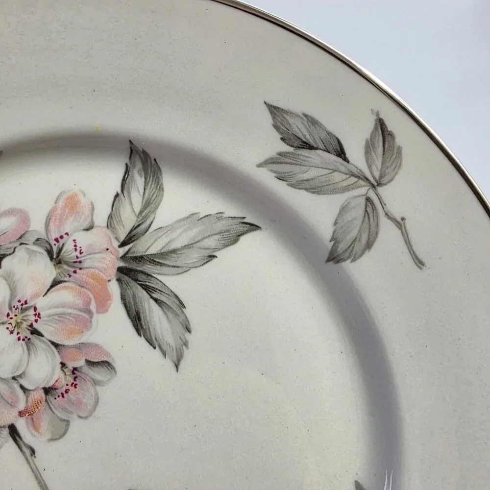 TWO Manor House Spring Glory Salad Plates Pink & White Floral Gray Leaves